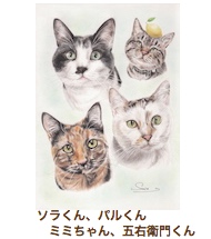 ソラくん＆パルくん＆ミミちゃん＆五右衛門くん